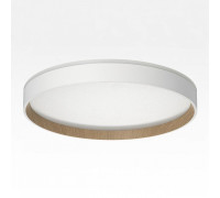 Накладной светильник Citilux ETALON CL750320R