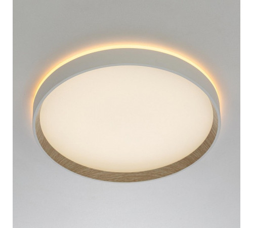 Накладной светильник Citilux ETALON CL750320R