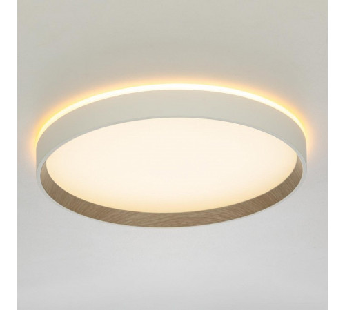 Накладной светильник Citilux ETALON CL750320R