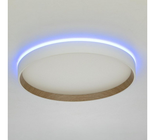 Накладной светильник Citilux ETALON CL750320R