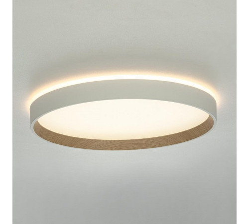 Накладной светильник Citilux ETALON CL750320R