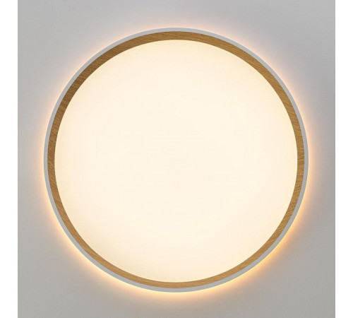 Накладной светильник Citilux ETALON CL750320R