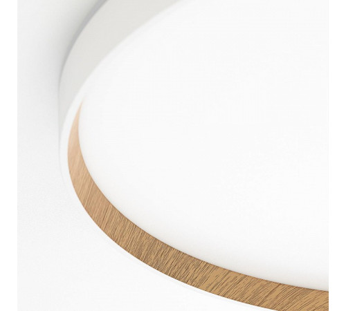 Накладной светильник Citilux ETALON CL750500R