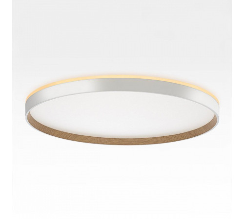 Накладной светильник Citilux ETALON CL750500R