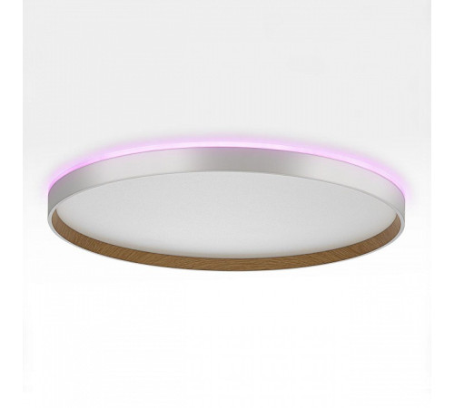 Накладной светильник Citilux ETALON CL750500R