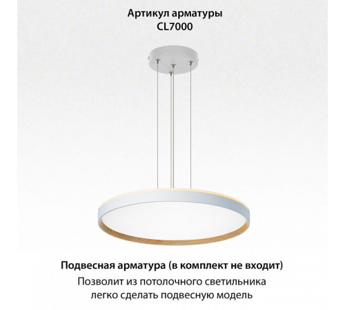 Накладной светильник Citilux ETALON CL750500R