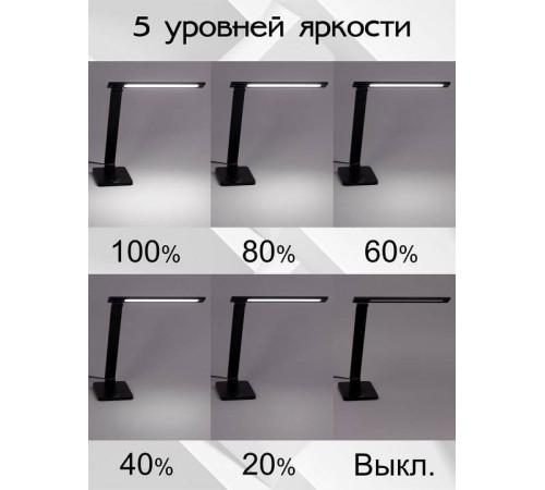 Настольная лампа офисная Citilux Ньютон CL803081
