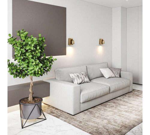 Бра Covali WL-30812