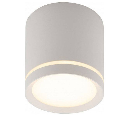 Накладной светильник Denkirs DK401 DK4016-WH