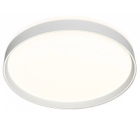 Накладной светильник Denkirs PLATO DK6510-WH