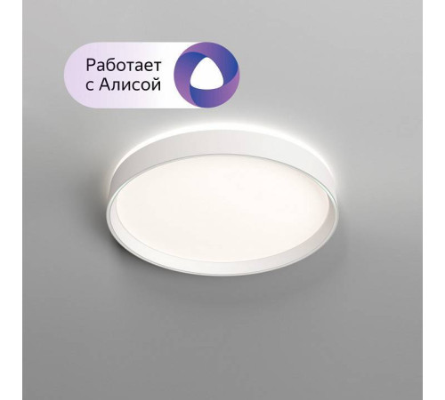 Накладной светильник Denkirs PLATO DK6510-WH