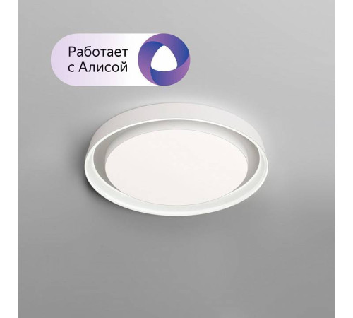 Накладной светильник Denkirs Cany DK6515-WH