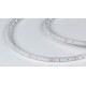 Лента светодиодная DesignLed DSG360 00-00004497