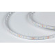 Лента светодиодная DesignLed DSG360 00-00004497