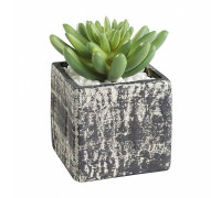 Растение в горшке Eglo Chitose 428007