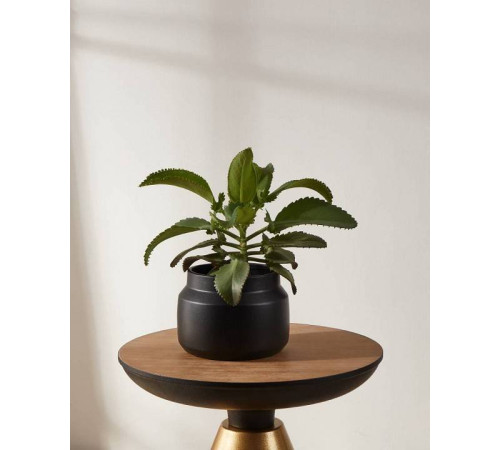 Кашпо Eglo Parkent 428145