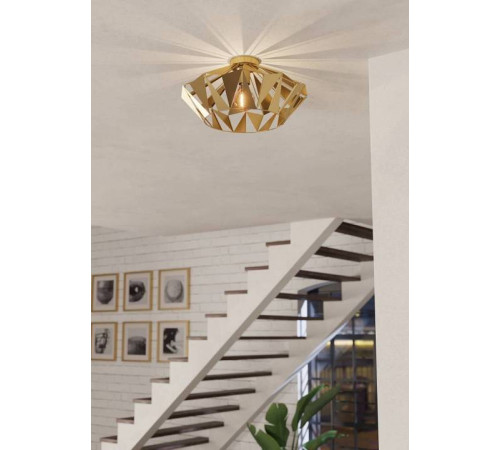 Накладной светильник Eglo Carlton 43908