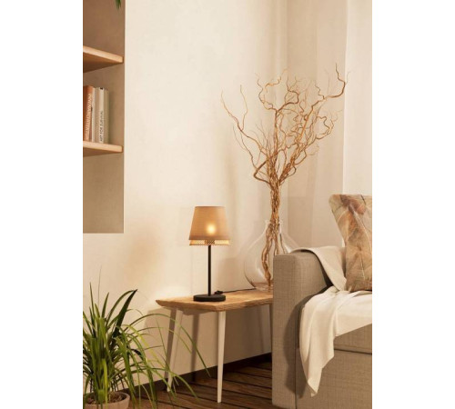 Настольная лампа декоративная Eglo Tabley 43977