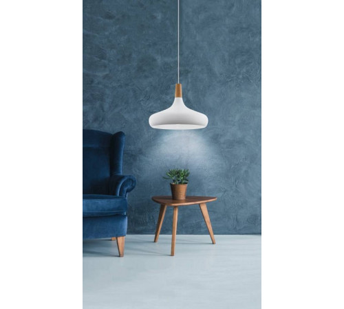 Подвесной светильник Eglo SABINAR 901179