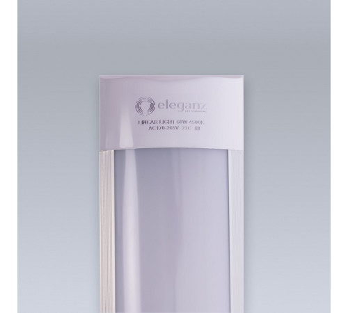 Накладной светильник Eleganz 9808