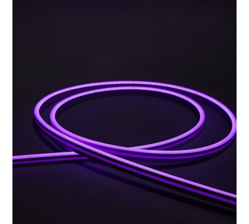 Шнур световой Eleganz EL-N24-96V