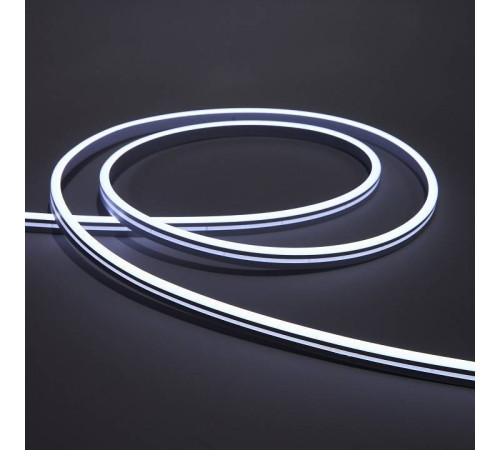 Шнур световой Eleganz EL-N24-96W