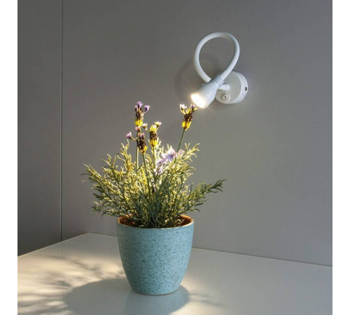 Бра Elektrostandard Kord a040001