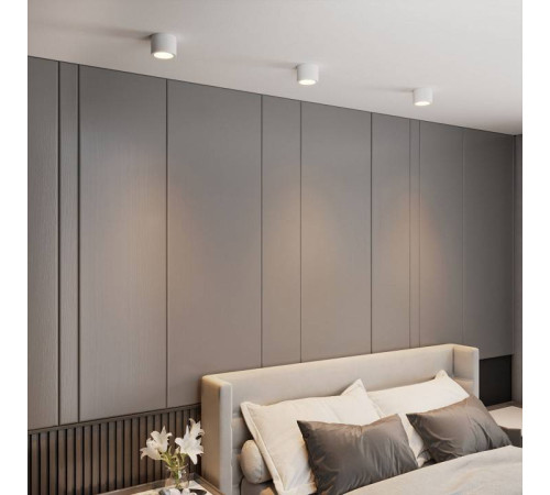 Накладной светильник Elektrostandard DLR026 a063935