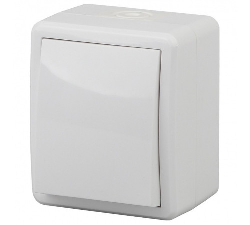 Выключатель одноклавишный Эра Эра Эксперт 11-1401-01