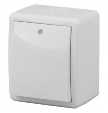 Выключатель одноклавишный с подсветкой Эра Эра Эксперт 11-1402-01