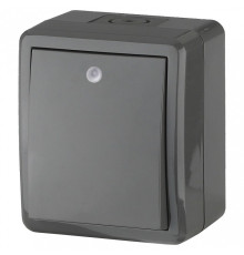 Выключатель одноклавишный с подсветкой Эра Эра Эксперт 11-1402-03