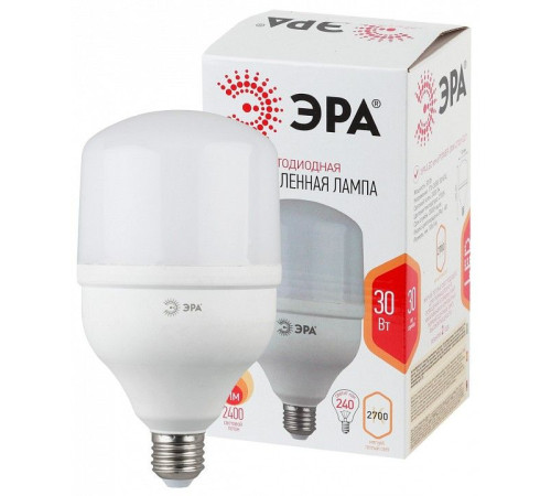 Лампа светодиодная Эра Стандарт LED POWER T100-30W-2700-E27