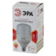 Лампа светодиодная Эра Стандарт LED POWER T100-30W-2700-E27