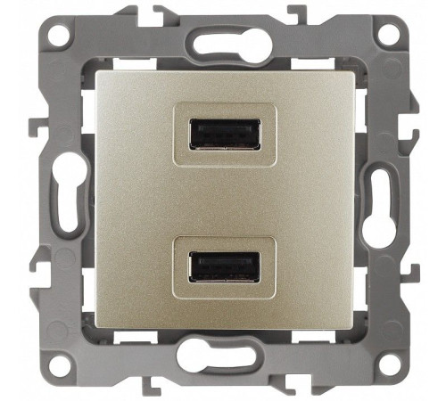 Розетка USB, без рамки Эра Эра 12 12-4110-04