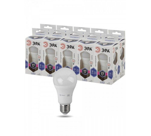 Лампа светодиодная Эра Стандарт LED A60-17W-860-E27