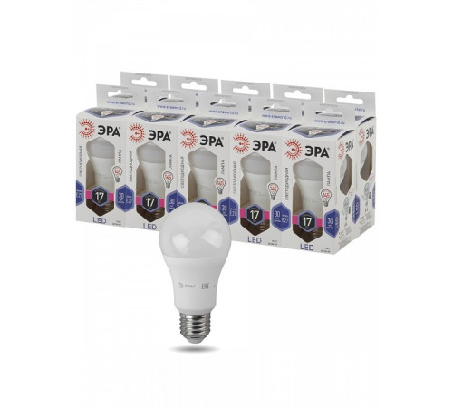 Лампа светодиодная Эра Стандарт LED A60-17W-860-E27