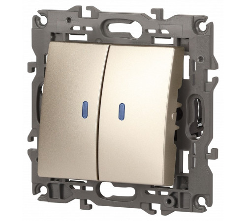 Выключатель двухклавишный с подсветкой без рамки Эра Эра Elegance 14-1105-04
