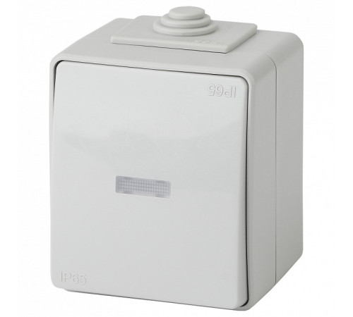 Выключатель одноклавишный с подсветкой Эра Эра Эксперт 11-1602-03