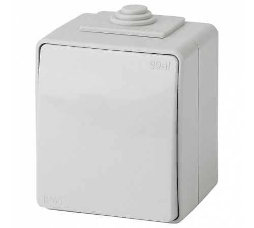 Переключатель одноклавишный Эра Эра Эксперт 11-1603-03