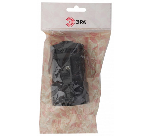 Розетка с заземлением Эра Rx2-B