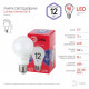 Лампа светодиодная Эра LED A60-12W-865-E27 R