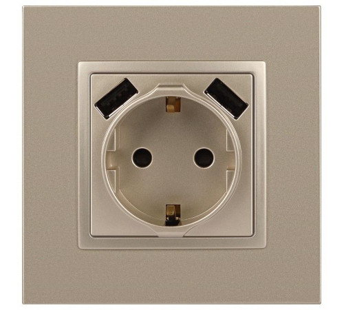 Розетка с заземлением и со шторкой и 2хUSB, без рамки Эра Эра Elegance 14-4109-04