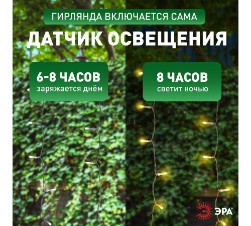 Гирлянда на солнечных батареях Эра ERASF22-41