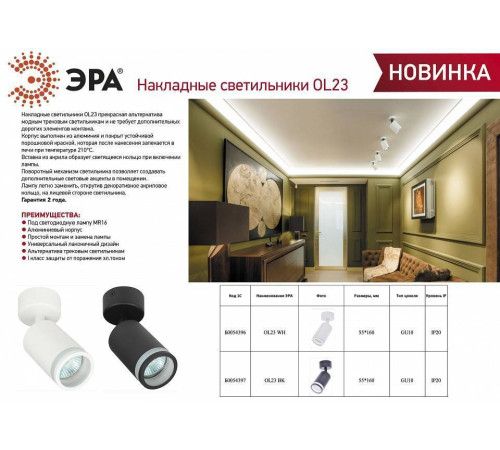 Спот Эра OL23 BK Б0054397