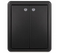 Выключатель двухклавишный с подсветкой Эра Эра Эксперт 11-1205-05