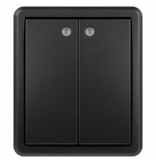 Выключатель двухклавишный с подсветкой Эра Эра Эксперт 11-1205-05