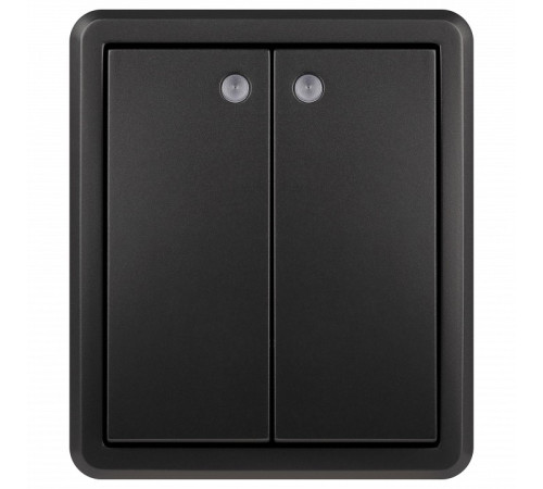 Выключатель двухклавишный с подсветкой Эра Эра Эксперт 11-1205-05