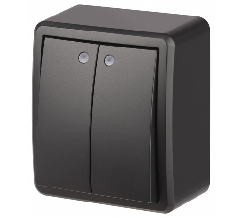 Выключатель двухклавишный с подсветкой Эра Эра Эксперт 11-1205-05