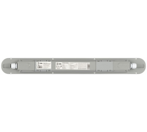 Накладной светильник Эра SPP-202-0-65K-L18