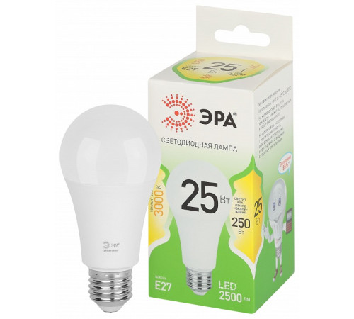 Лампа светодиодная Эра Green Line LED A60-25W-830-E27 GL